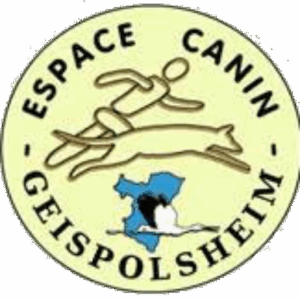 Inscription et cotisation 1ère année